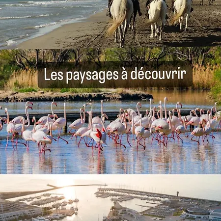 Port Camargue,plage à 200m Avec Clim,parking,linges De Lit Inclus Apartamento Le Grau-du-Roi